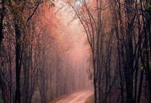 巴特勒焦点对战，Karsa与60激战瑞士队分钟，比赛规则变更胜负难料！上演精彩一战的简单介绍